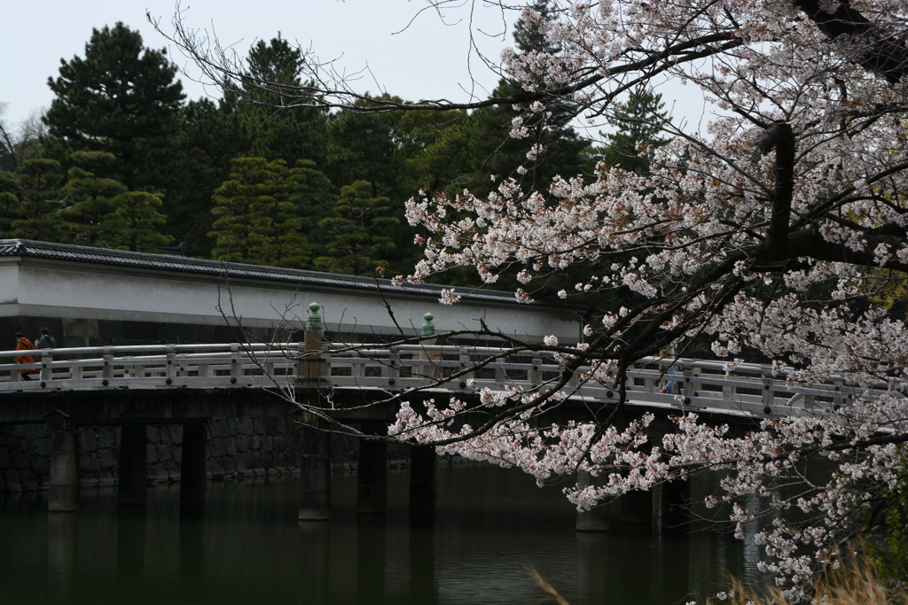 皇居前でお出迎え