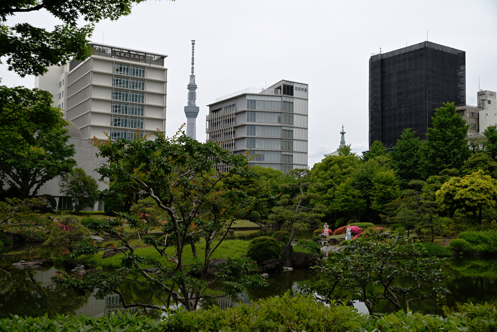 調和