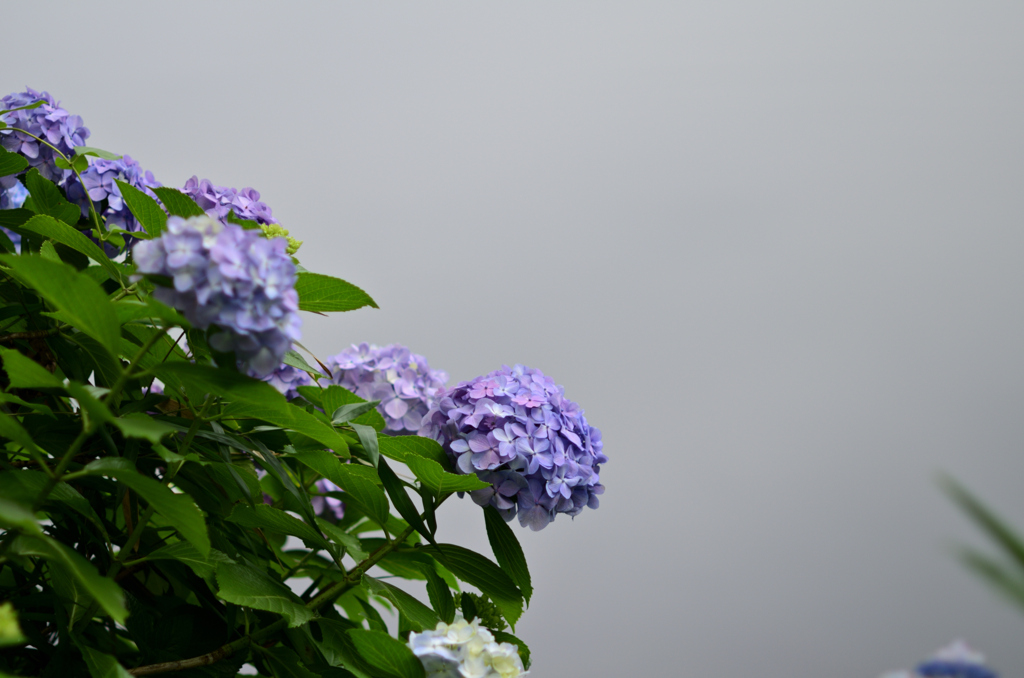 雨雲とお話し中