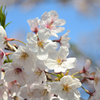 April.2020 in COVID-19