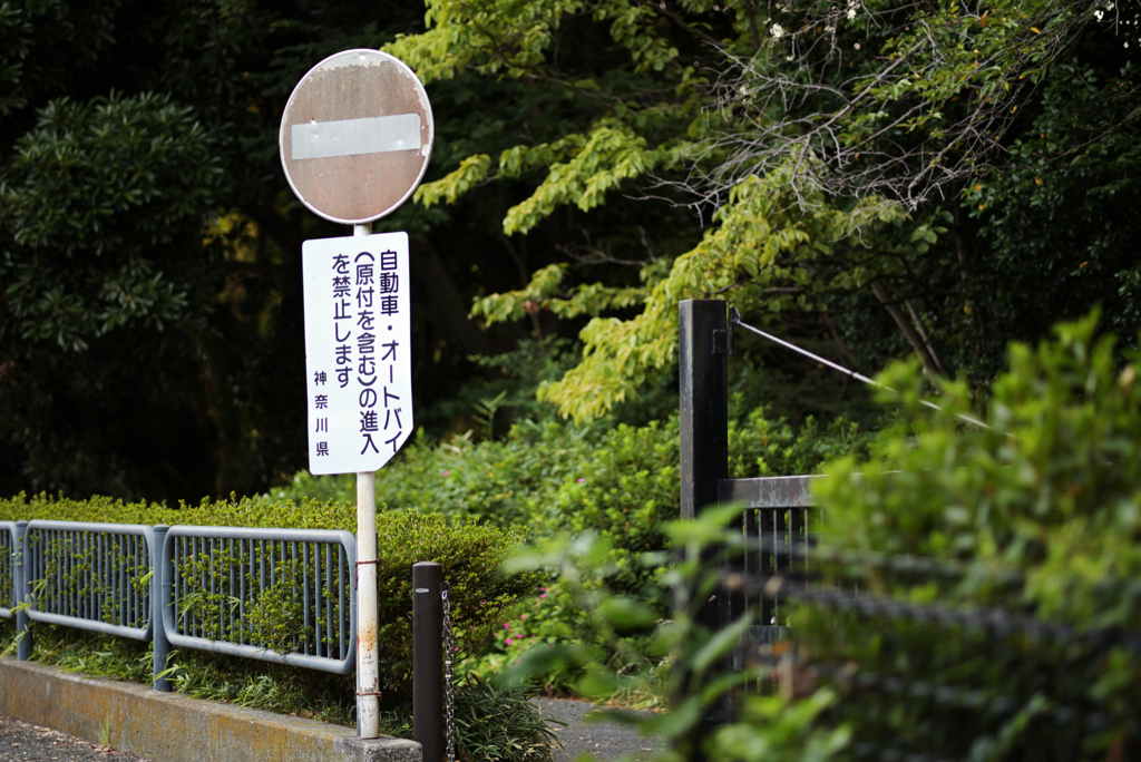 車には厳しく・人には優しく