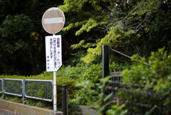 車には厳しく・人には優しく