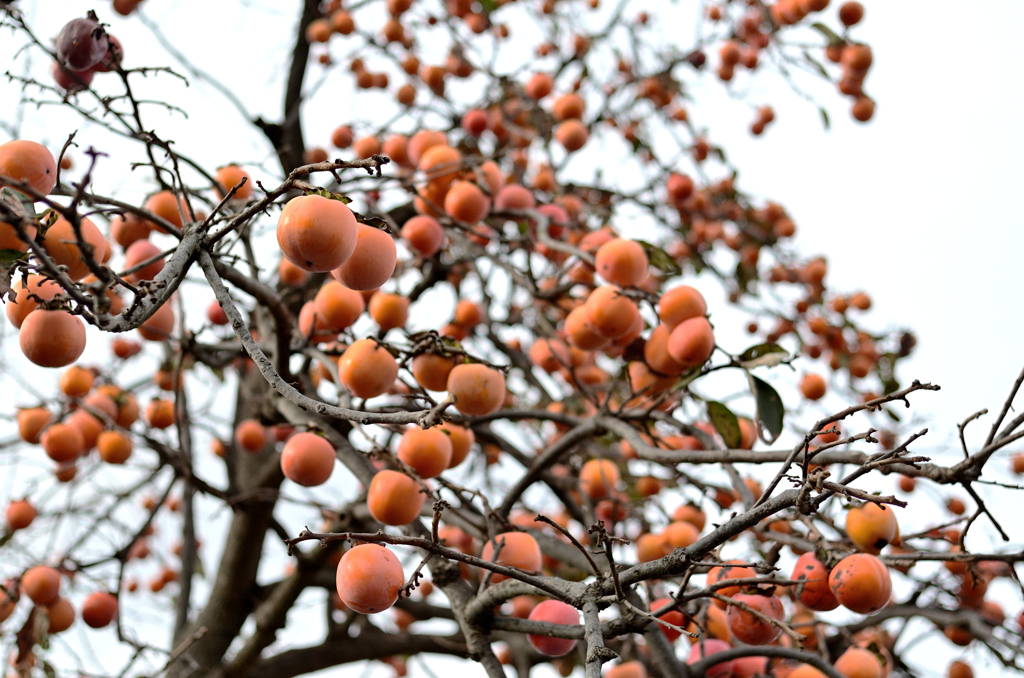 D7K_0160_Raw