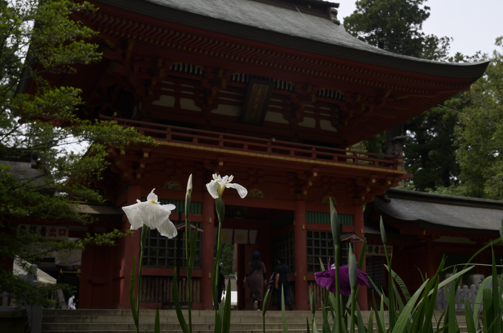 香取神宮に行って来ました