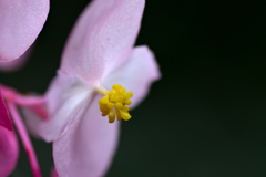 72H_9258R