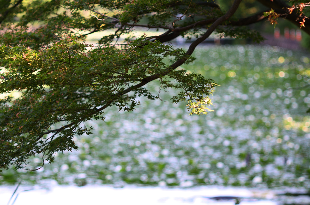 D7K_5910R