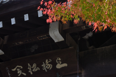 モミジのお迎え