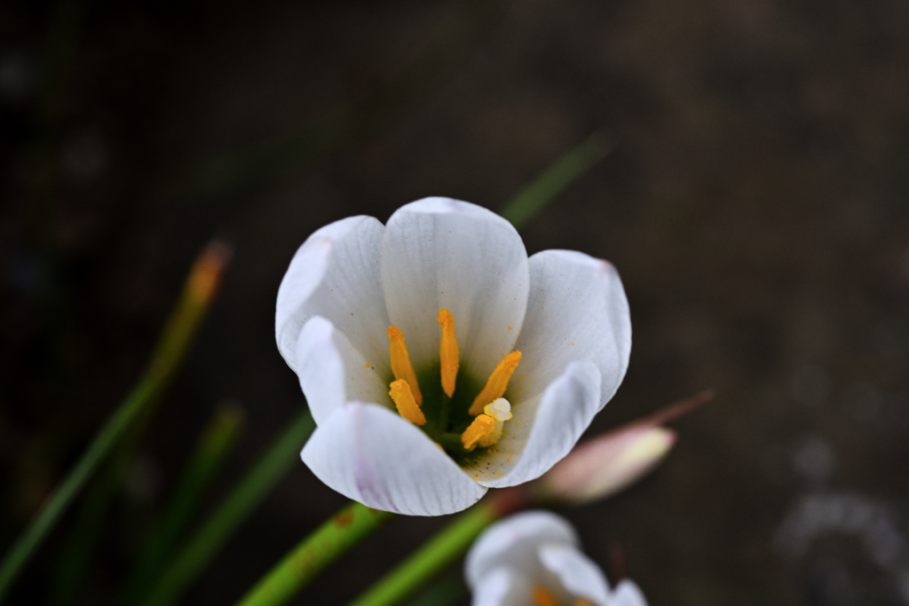 72H_9132R