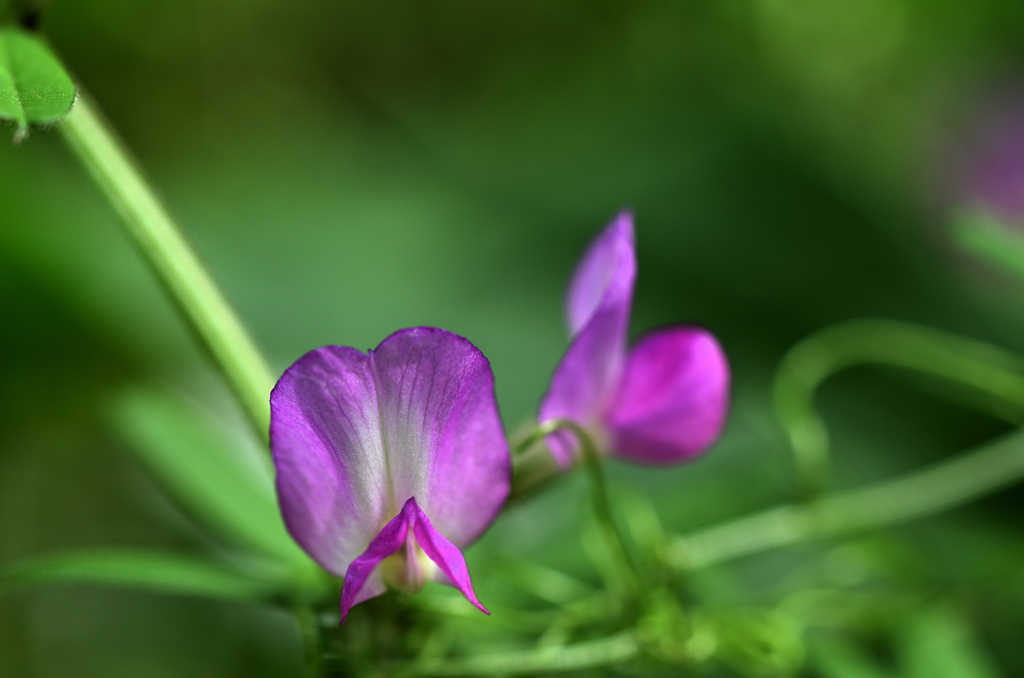 D7K_4897R