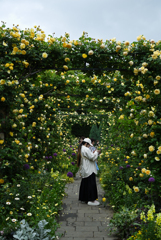 綺麗な花が大好きです