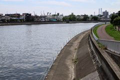 鶴見川散策