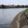 鶴見川散策