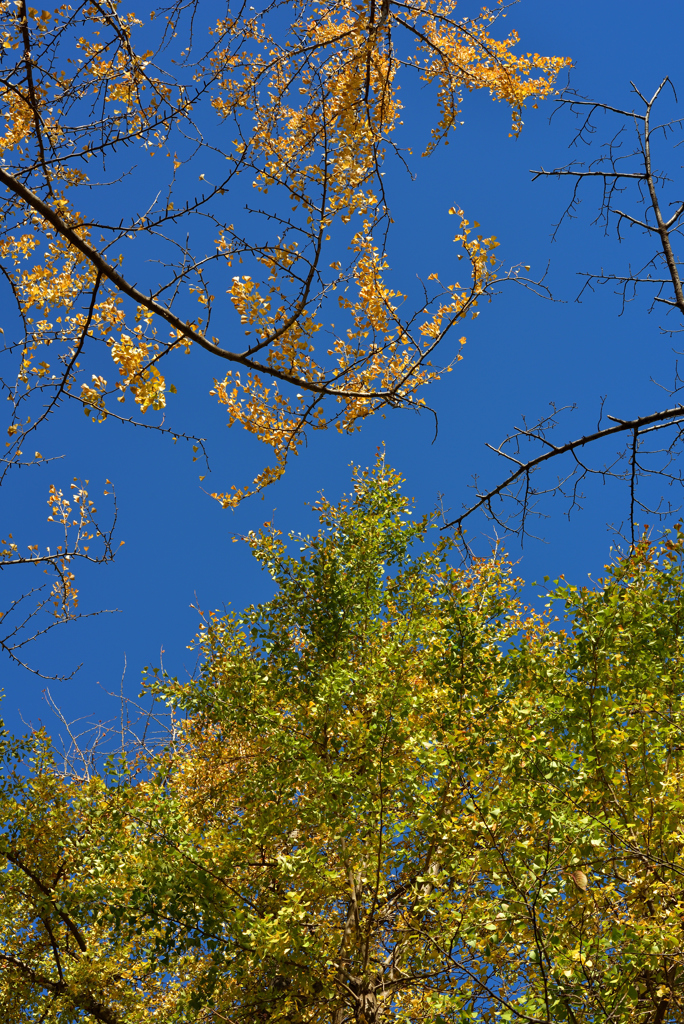 D6H_4655_Raw
