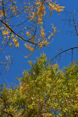D6H_4655_Raw