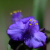 D7K_6698R