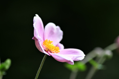 72H_9235R