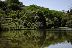 池