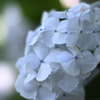 72H_8592R