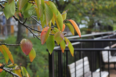 カウントダウンは始まらない カウントダウンは始まらない