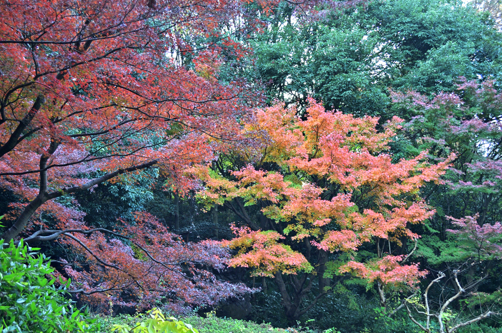 D5K_7559Raw