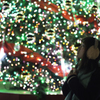 クリスマスの願い事
