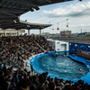 うみの杜水族館