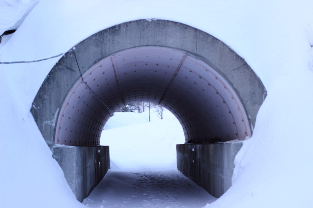 雪から雪へ