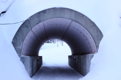 雪から雪へ