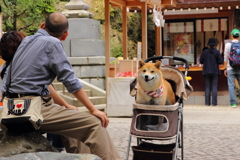 ニコッ