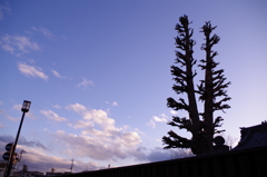 IMGP0302
