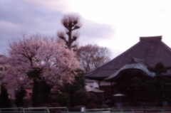 IMGP0318