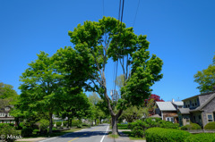 当地電線事情