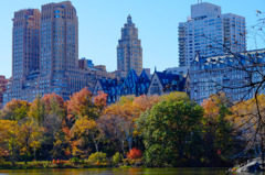 Fall foliage in NYC #12