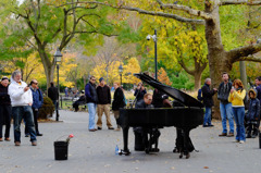 Fall foliage in NYC #6