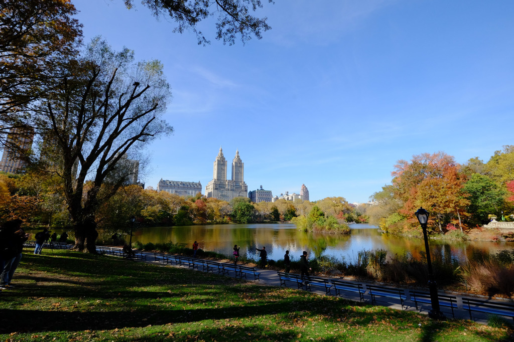 Fall foliage in NYC #3