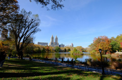 Fall foliage in NYC #3