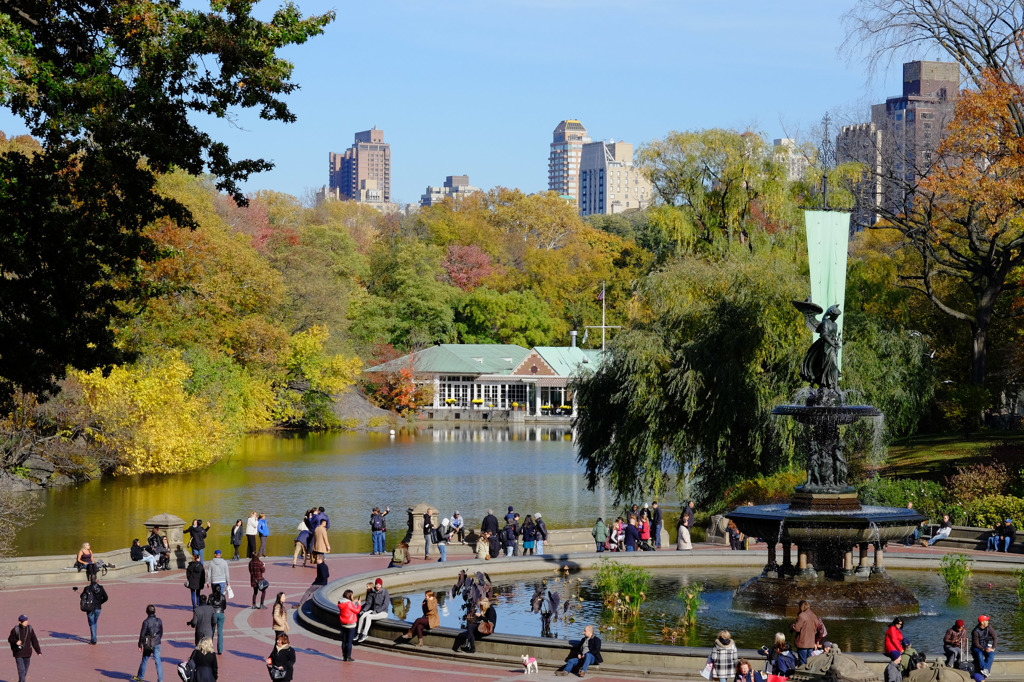 Fall foliage in NYC #2