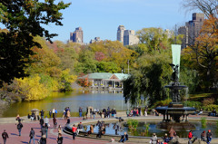 Fall foliage in NYC #2