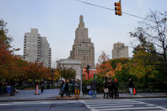 Fall foliage in NYC #8