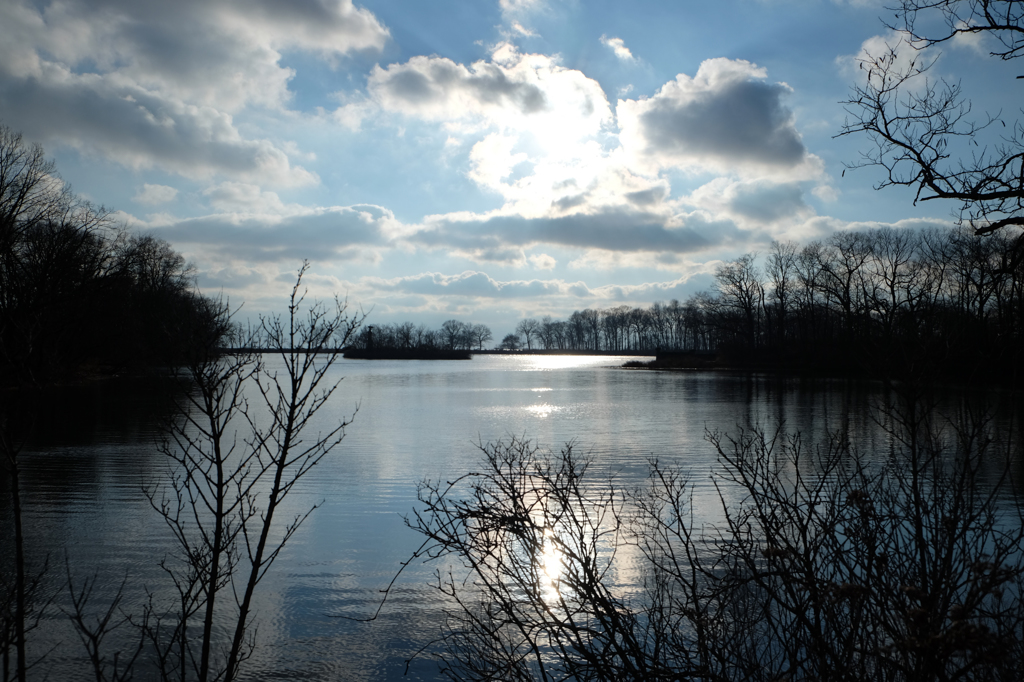 Greenwich Point Park