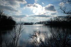 Greenwich Point Park