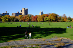 Fall foliage in NYC #13