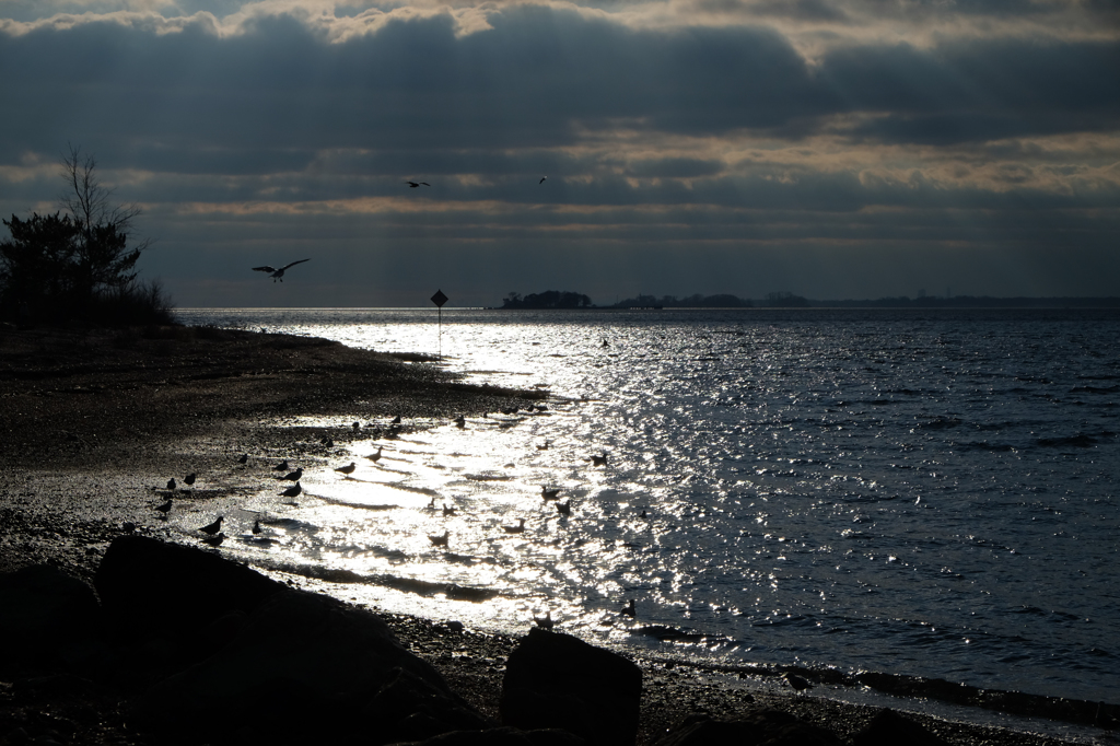 Greenwich Point Park