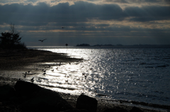 Greenwich Point Park