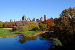 Fall foliage in NYC #11