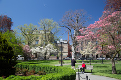 Friends of the public garden, Boston