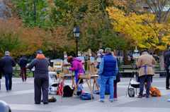 Fall foliage in NYC #7