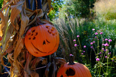 NY Botanical Garden #5