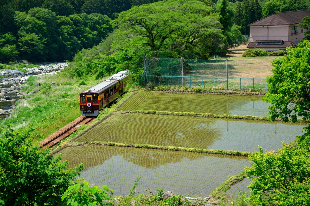 田園風景と「わっしー号」