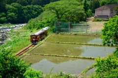 田園風景と「わっしー号」